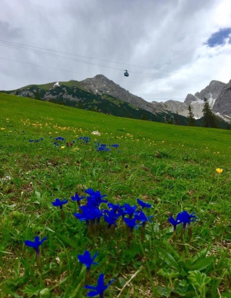 Relax Seefeld Apartman Seefeld in Tirol Ngoại thất bức ảnh